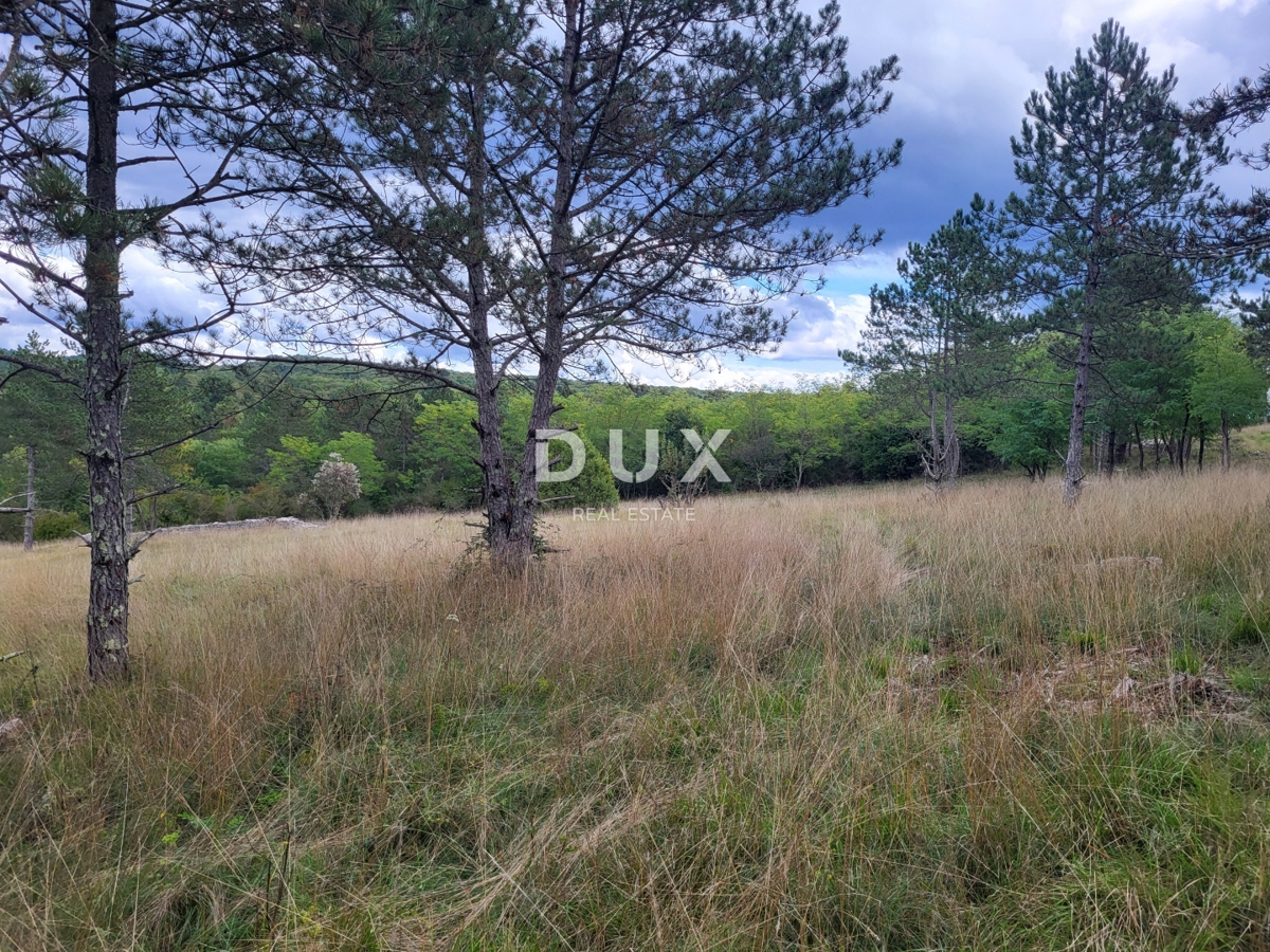 Zemljišče Oprtalj, 17.250m2