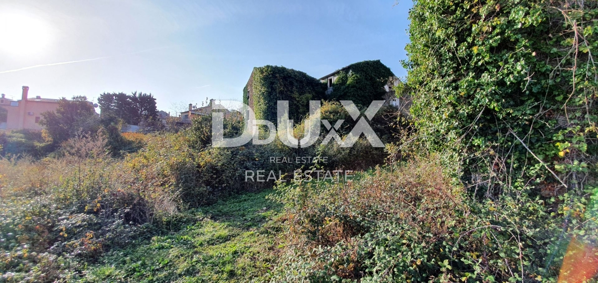 ISTRA, MOMJAN – Avtentična kamnita stavba s čudovitim razgledom