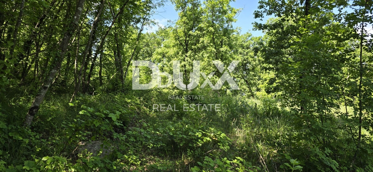 Zemljišče Gračišće, 17.270m2