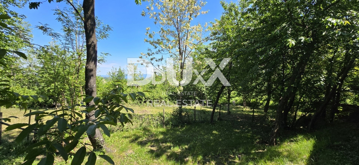 Zemljišče Gračišće, 17.270m2