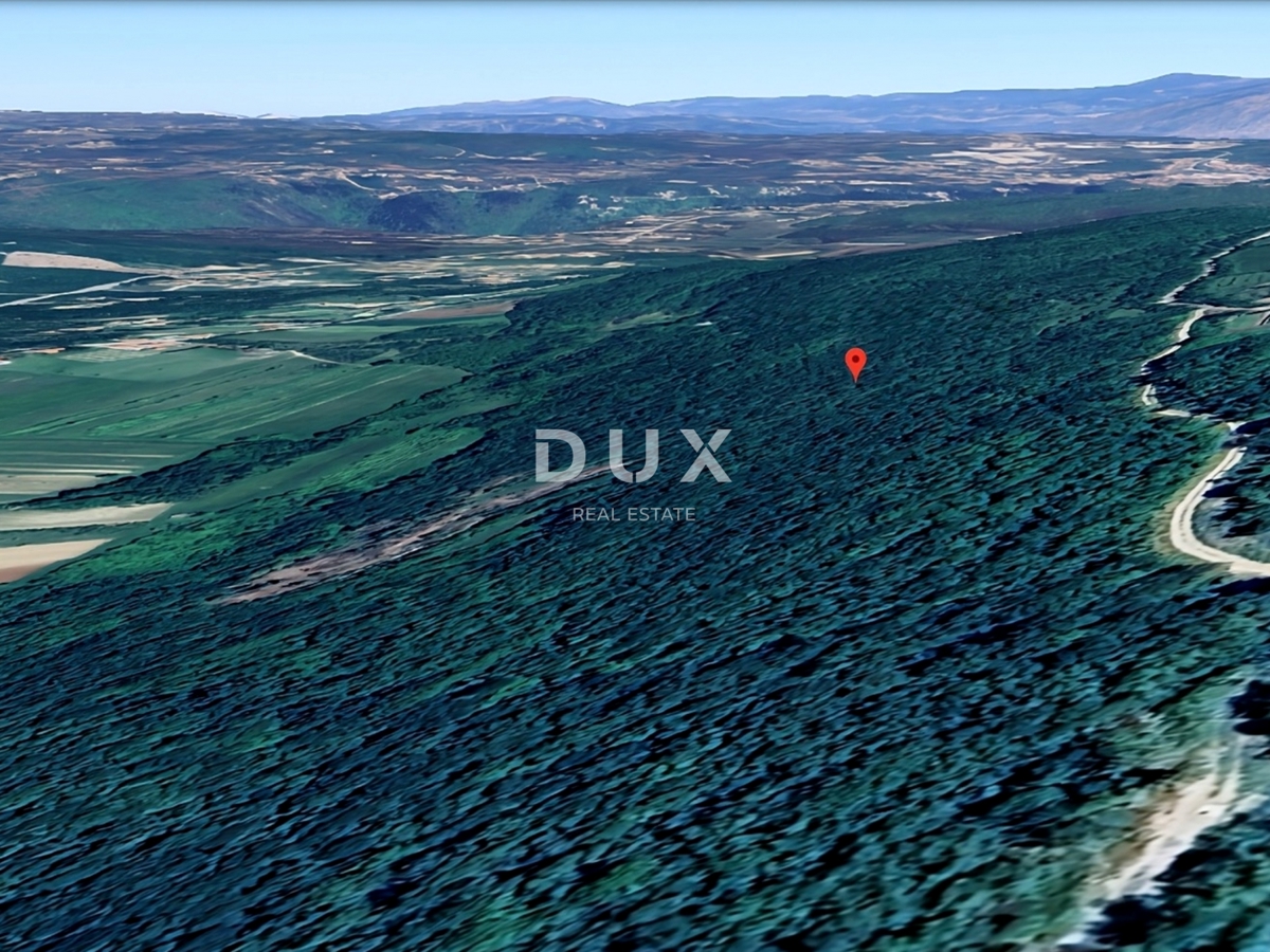 ISTRA, LABIN - Veliko gozdno zemljišče