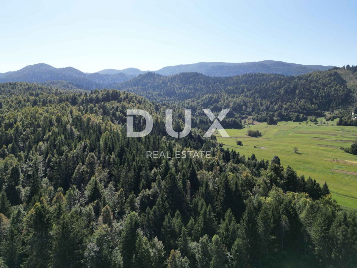 GORSKI KOTAR, SUNGER- stara hiša + 2 gospodarski poslopji + okolica 9000m2