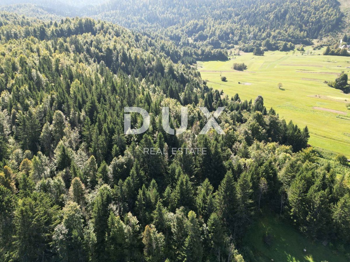 GORSKI KOTAR, SUNGER- stara hiša + 2 gospodarski poslopji + okolica 9000m2