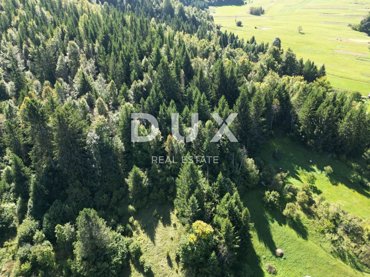 GORSKI KOTAR, SUNGER- stara hiša + 2 gospodarski poslopji + okolica 9000m2