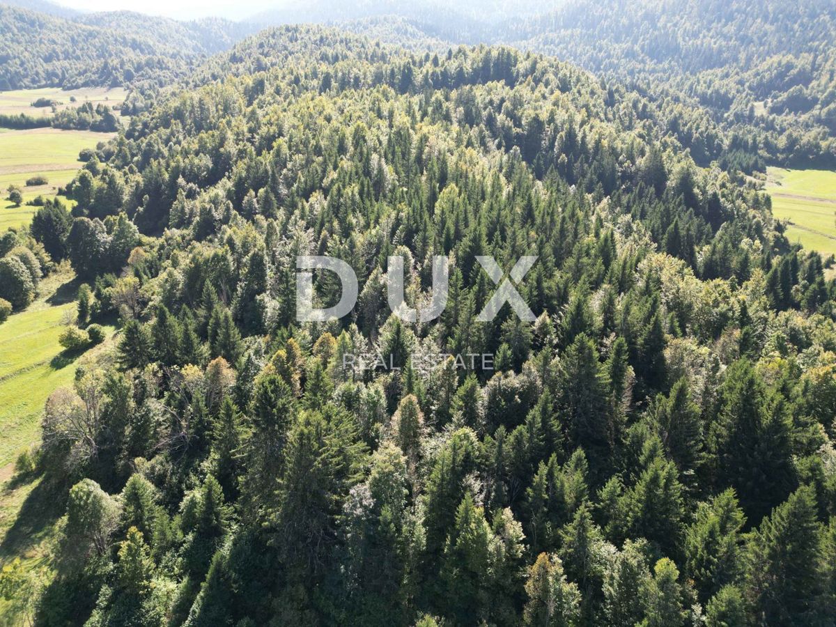 GORSKI KOTAR, SUNGER- stara hiša + 2 gospodarski poslopji + okolica 9000m2