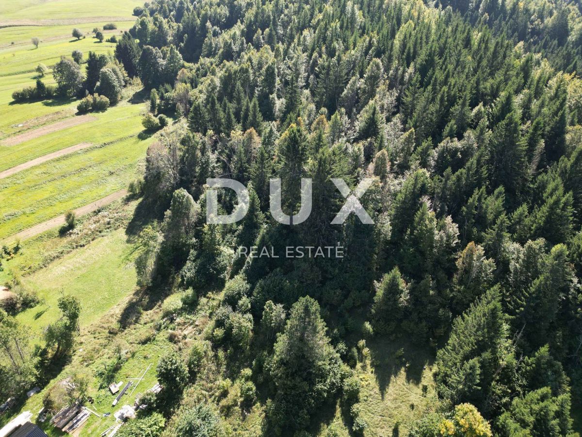 GORSKI KOTAR, SUNGER- stara hiša + 2 gospodarski poslopji + okolica 9000m2