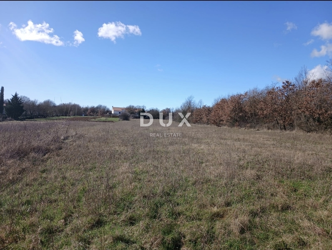 ISTRA, ŽMINJ - Investicijsko zemljišče 5.500 m² z možnostjo preureditve