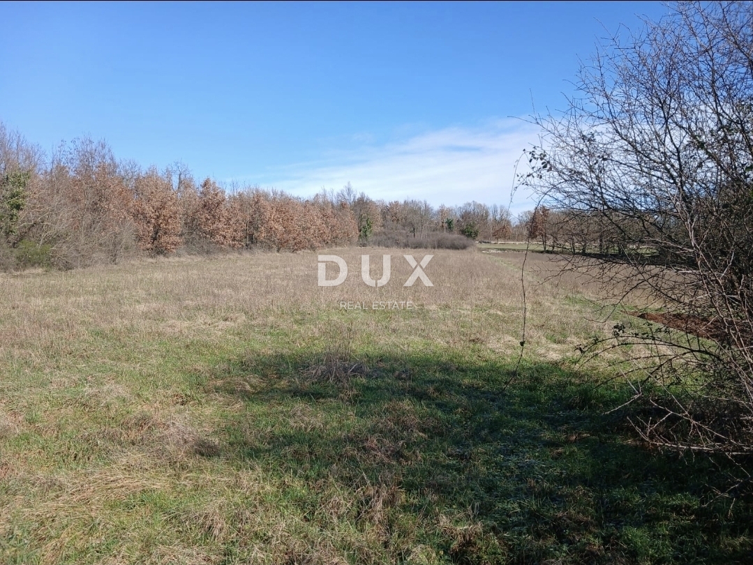 ISTRA, ŽMINJ - Investicijsko zemljišče 5.500 m² z možnostjo preureditve