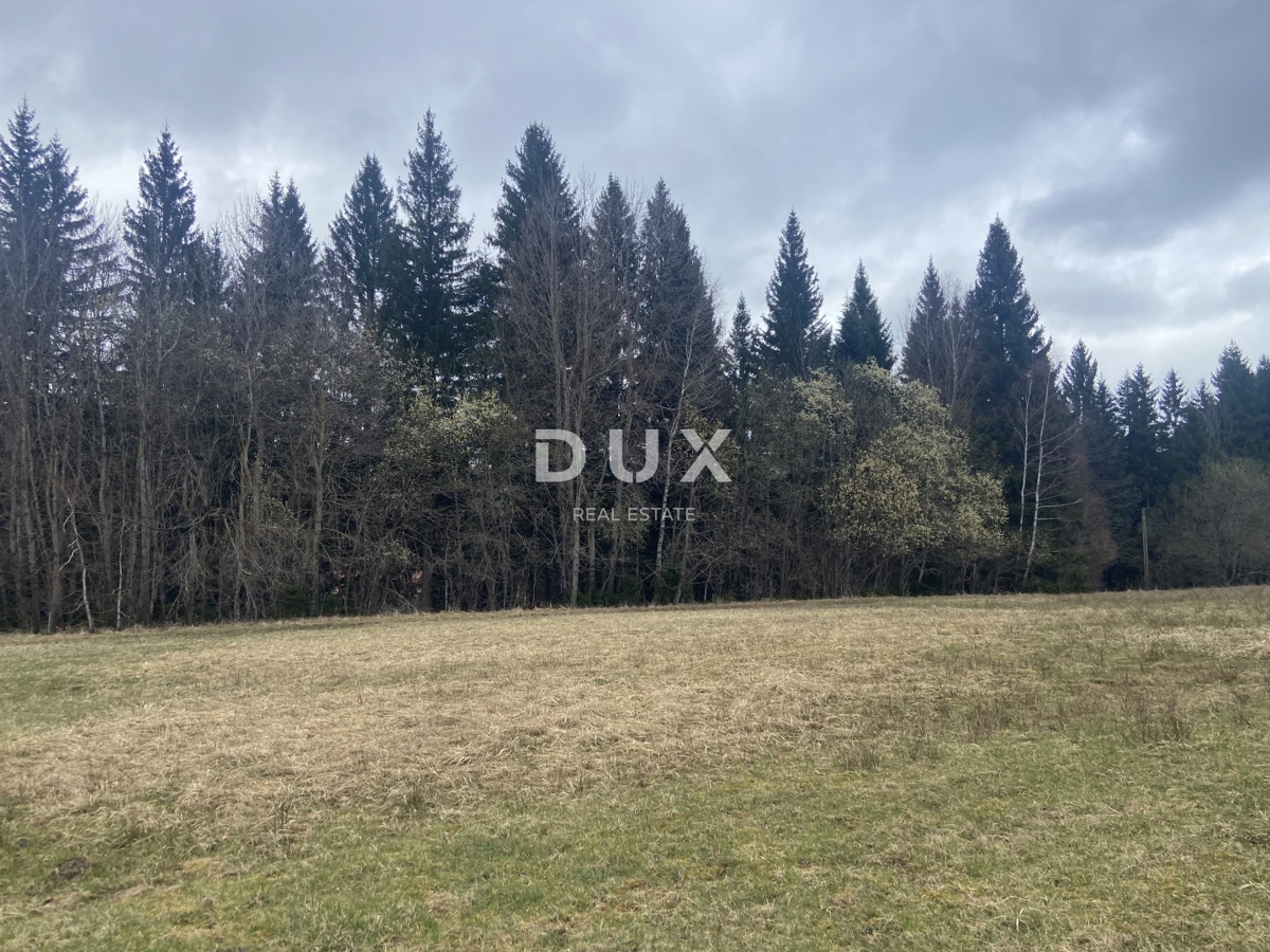 Zemljišče Kupjak, Ravna Gora, 8.200m2