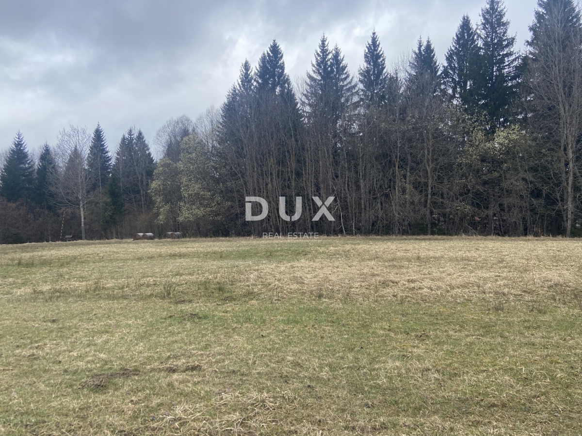 Zemljišče Kupjak, Ravna Gora, 8.200m2