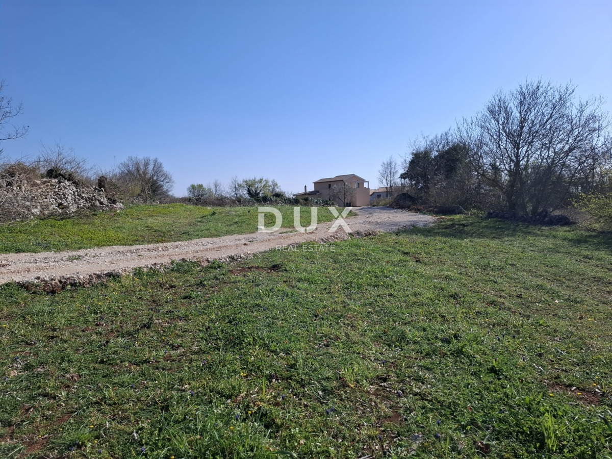 ISTRA, JURŠIĆI - Obdelovalna kmetijska zemljišča v bližini vasi