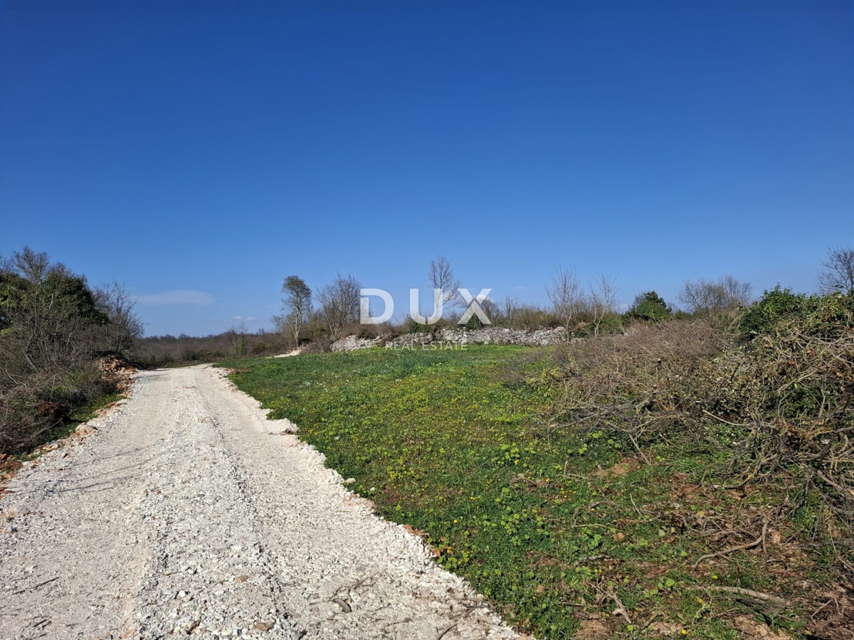 ISTRA, JURŠIĆI - Obdelovalna kmetijska zemljišča v bližini vasi