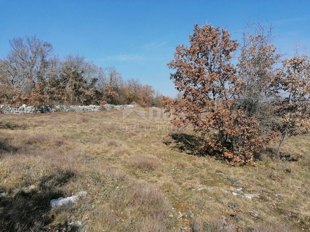 Sveti Ivan, Višnjan, 44.600m2