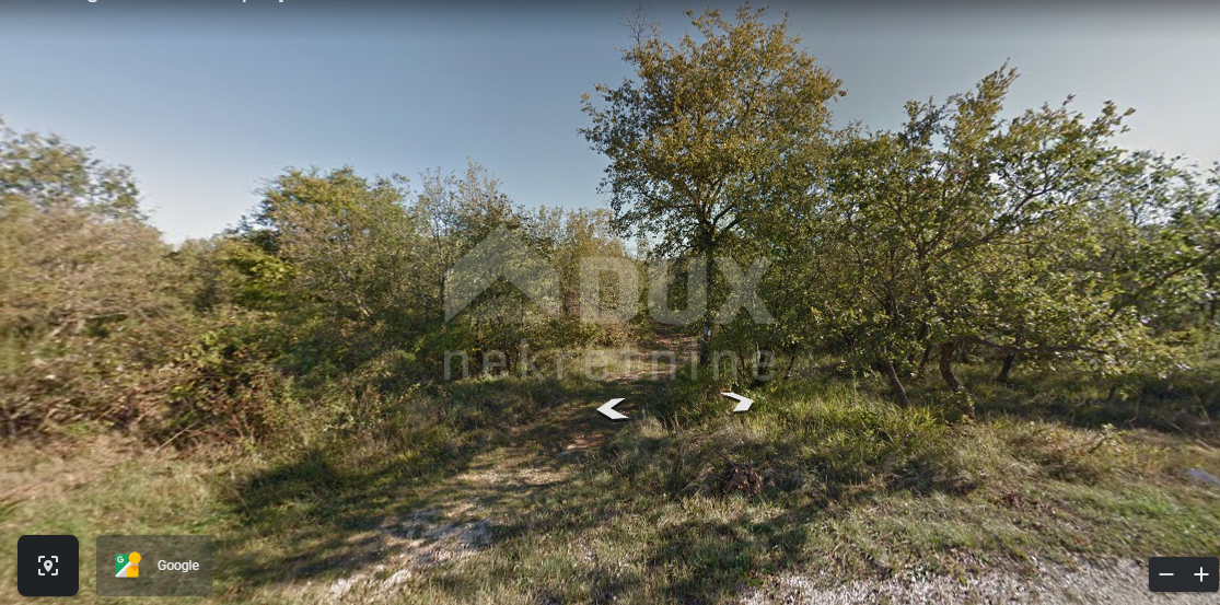 Sveti Ivan, Višnjan, 44.600m2