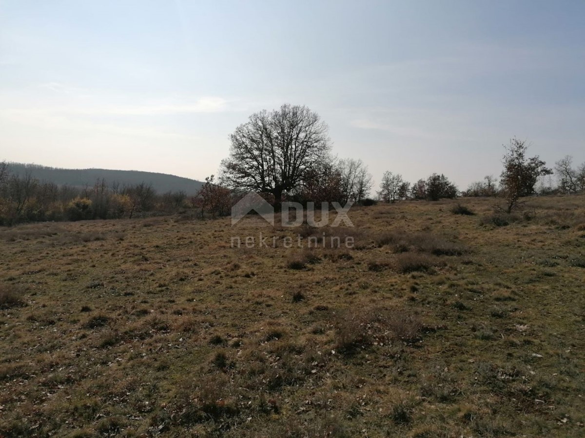 Sveti Ivan, Višnjan, 44.600m2