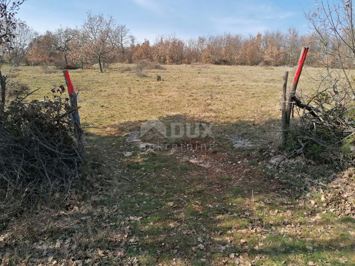 Sveti Ivan, Višnjan, 44.600m2