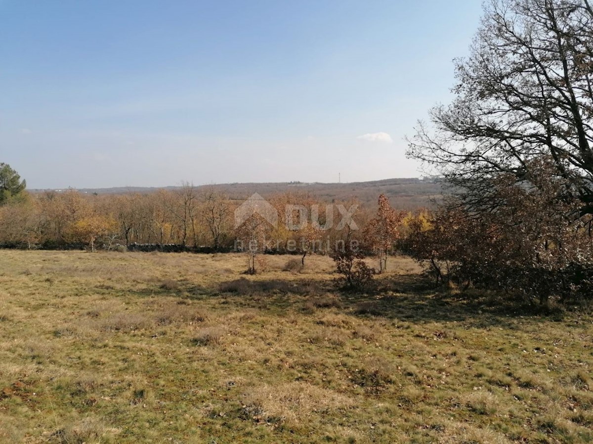 Sveti Ivan, Višnjan, 44.600m2