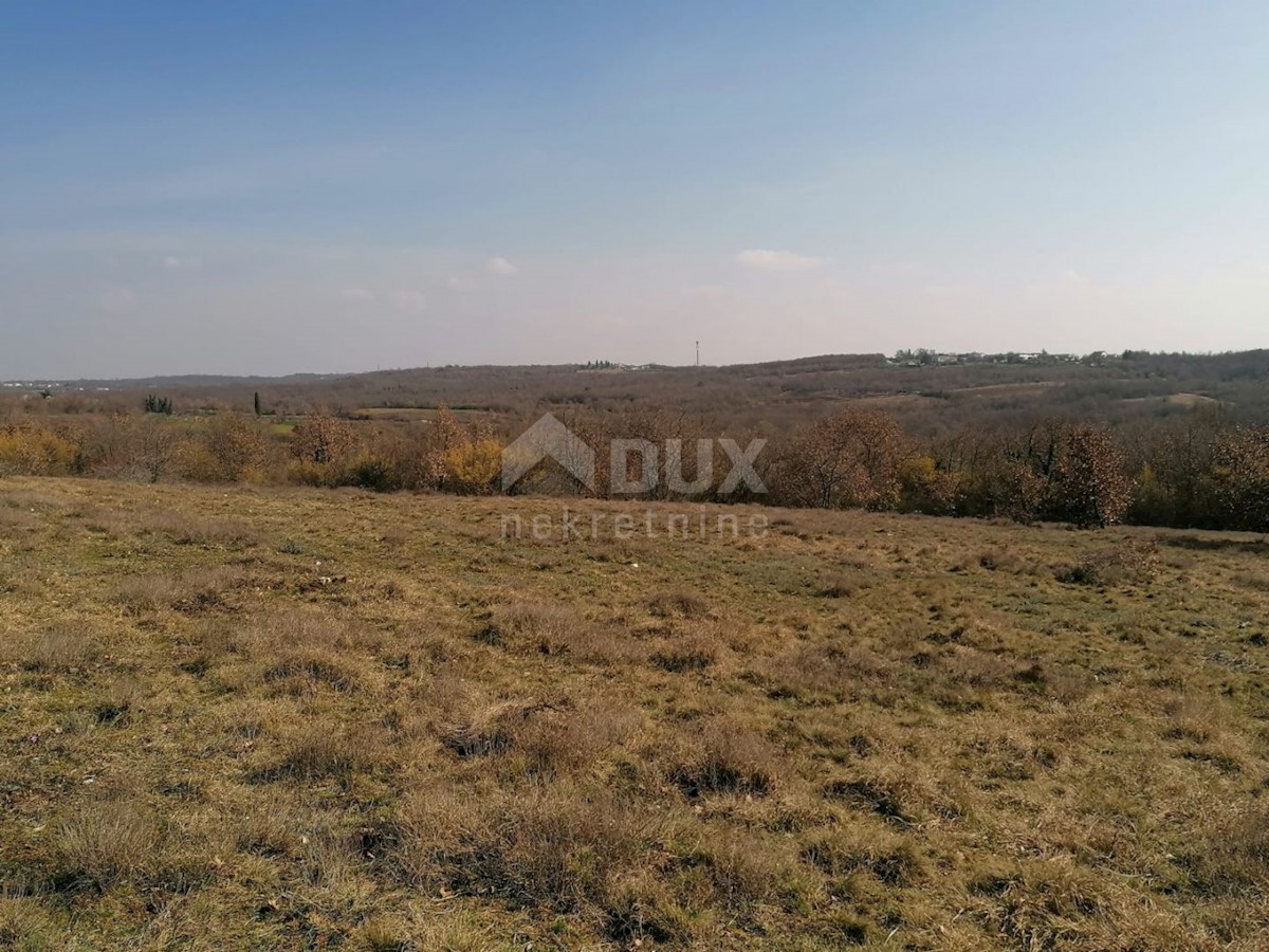 Sveti Ivan, Višnjan, 44.600m2