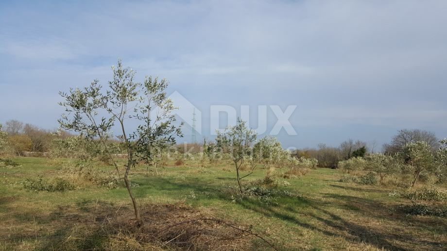 Vodnjan, 48.817m2