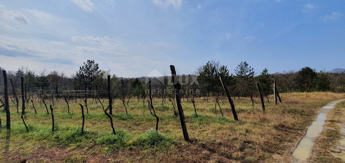 Gračišće, 50.860m2