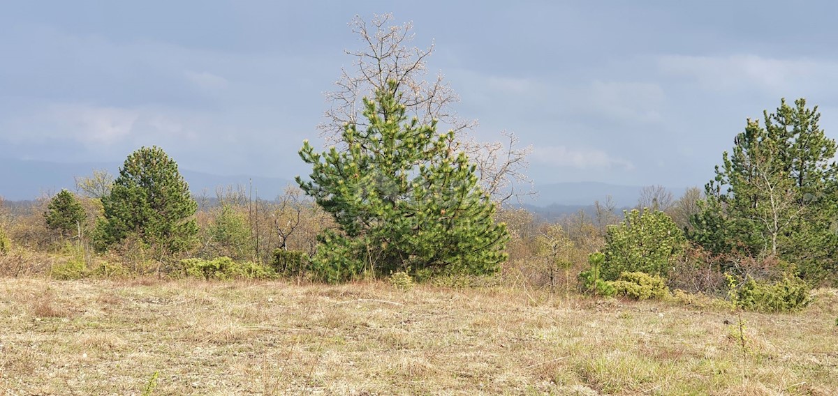 Gračišće, 50.860m2