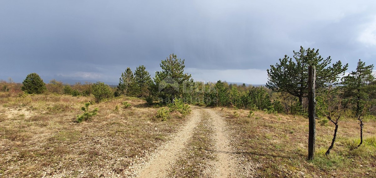 Gračišće, 50.860m2