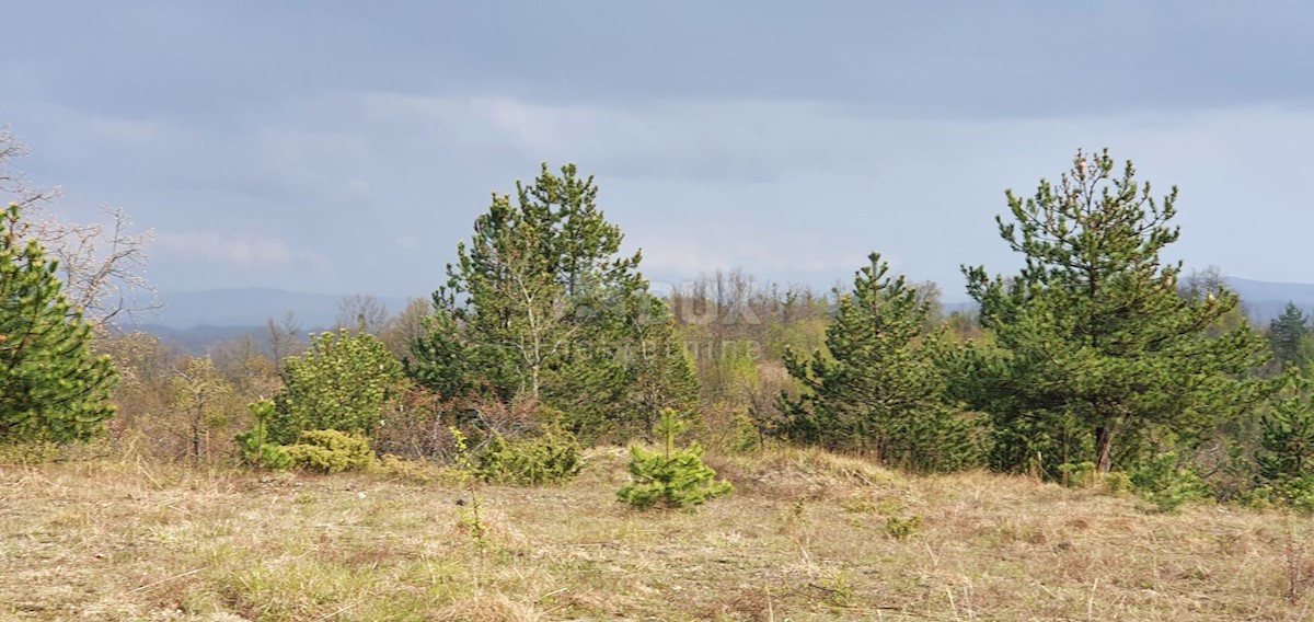 Gračišće, 50.860m2