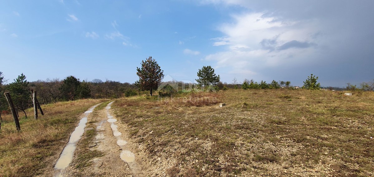 Gračišće, 50.860m2