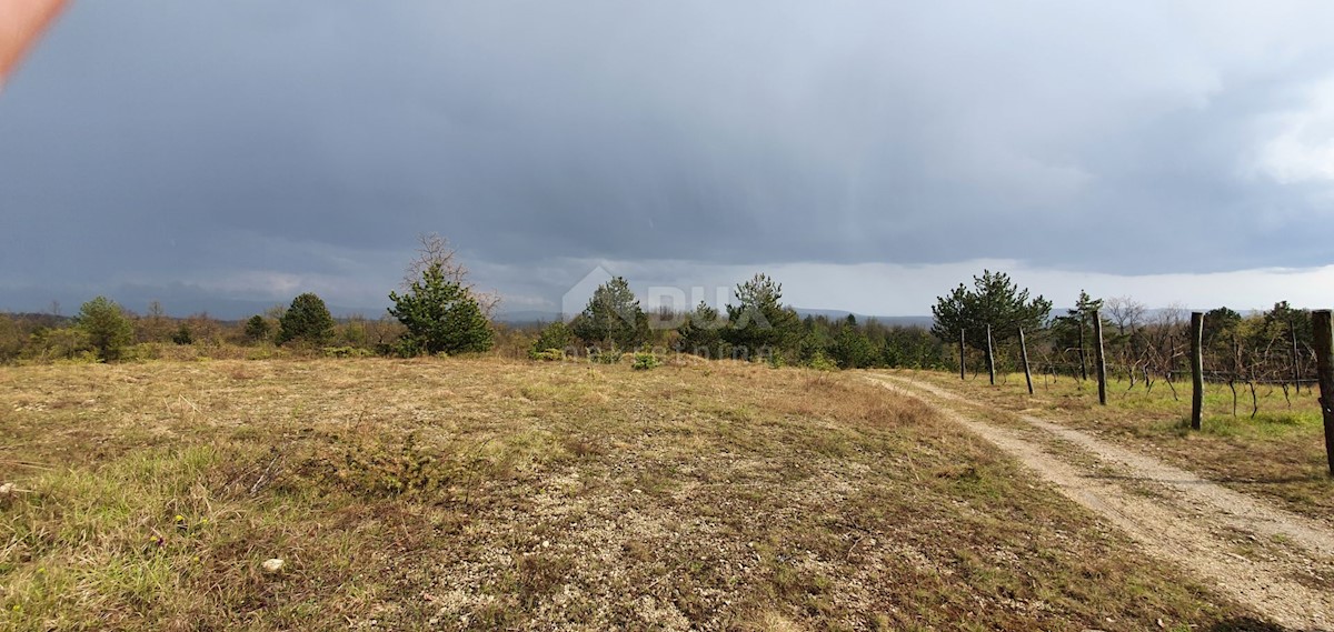 Gračišće, 50.860m2