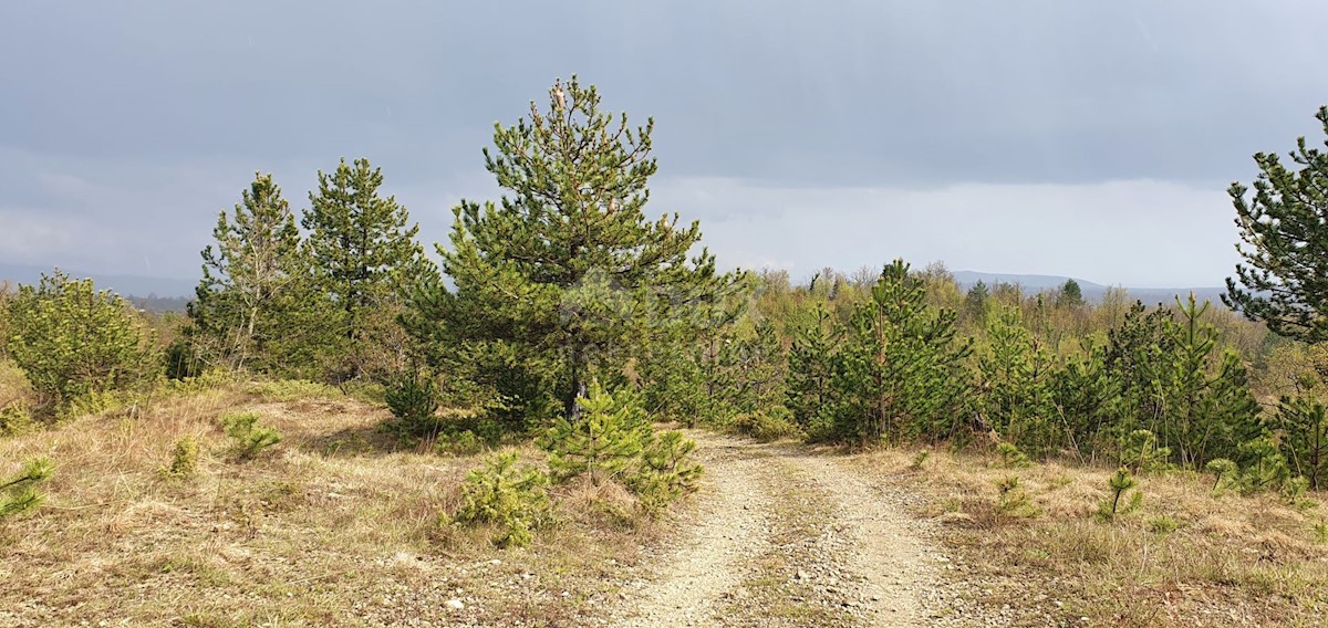 Gračišće, 50.860m2
