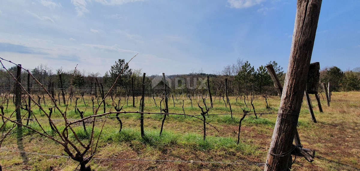Gračišće, 50.860m2