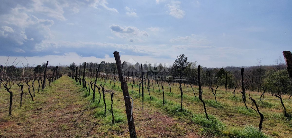 Gračišće, 50.860m2