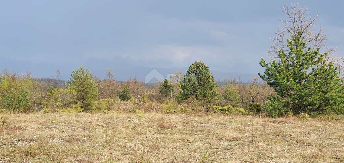 Gračišće, 50.860m2