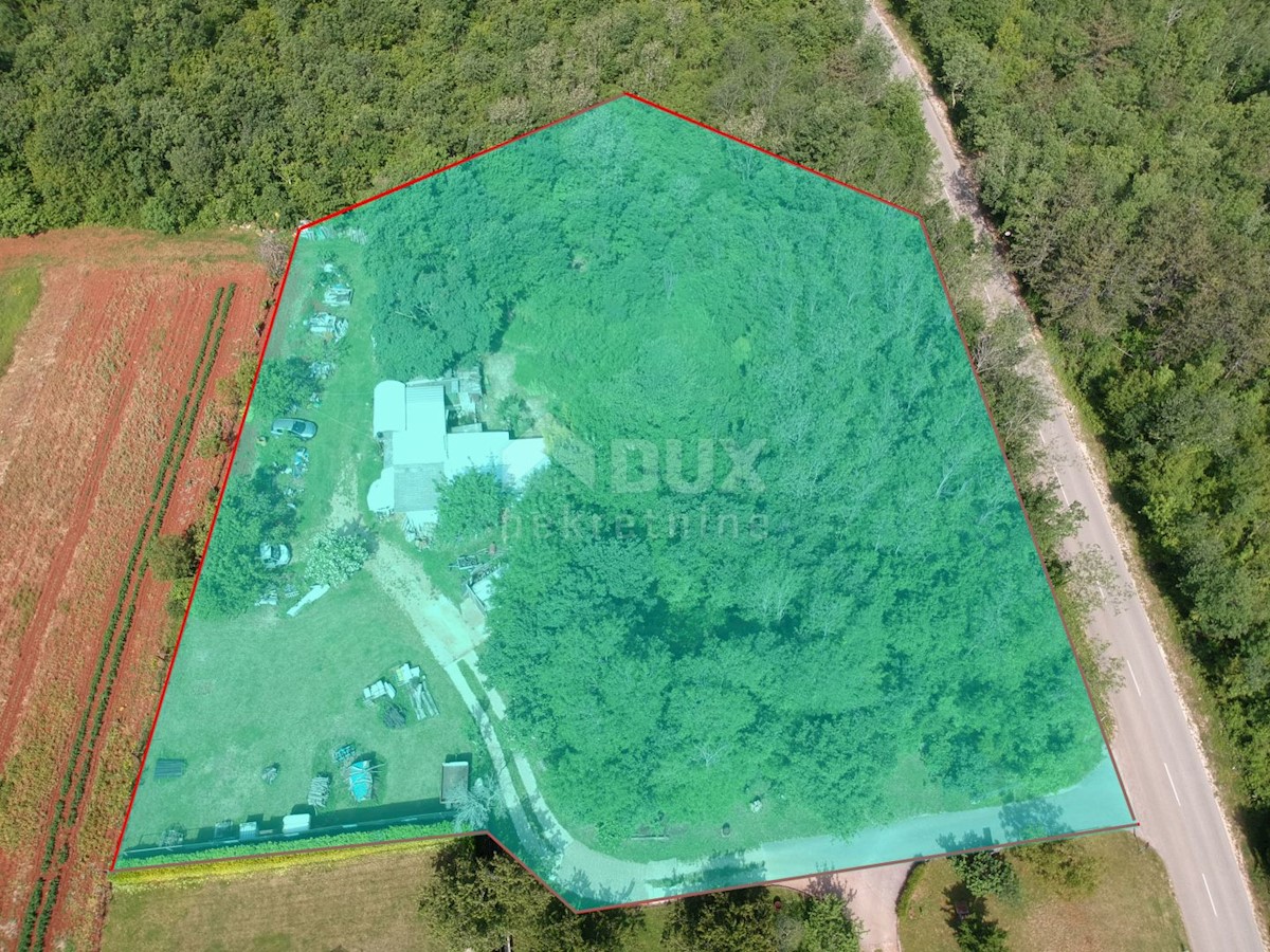 Karojba, 5.500m2