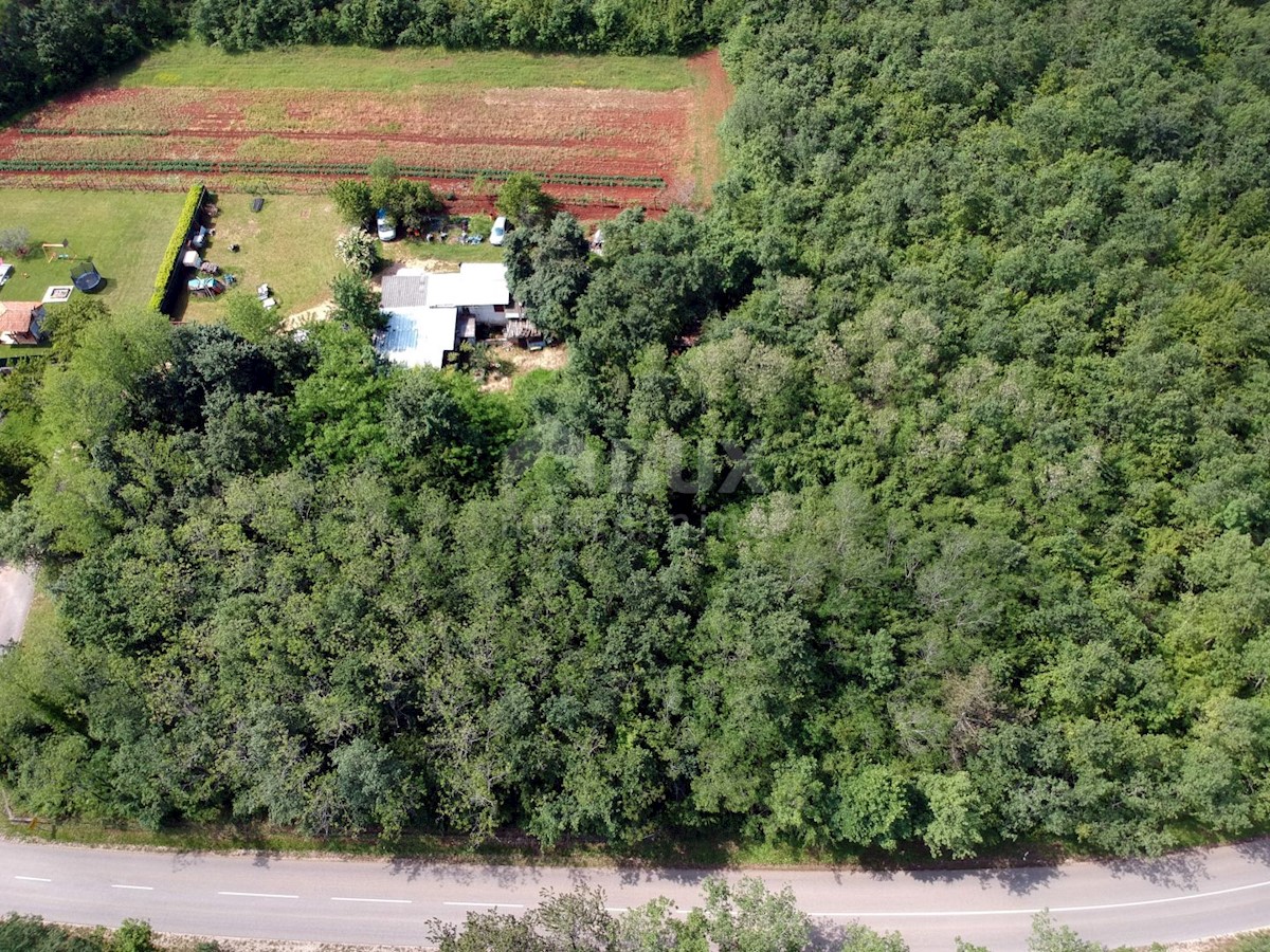 Karojba, 5.500m2