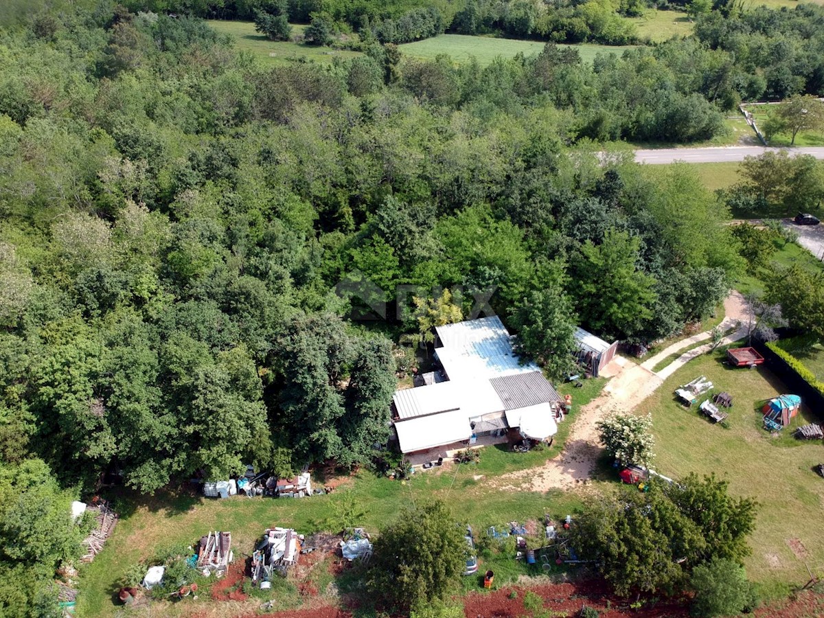 Karojba, 5.500m2