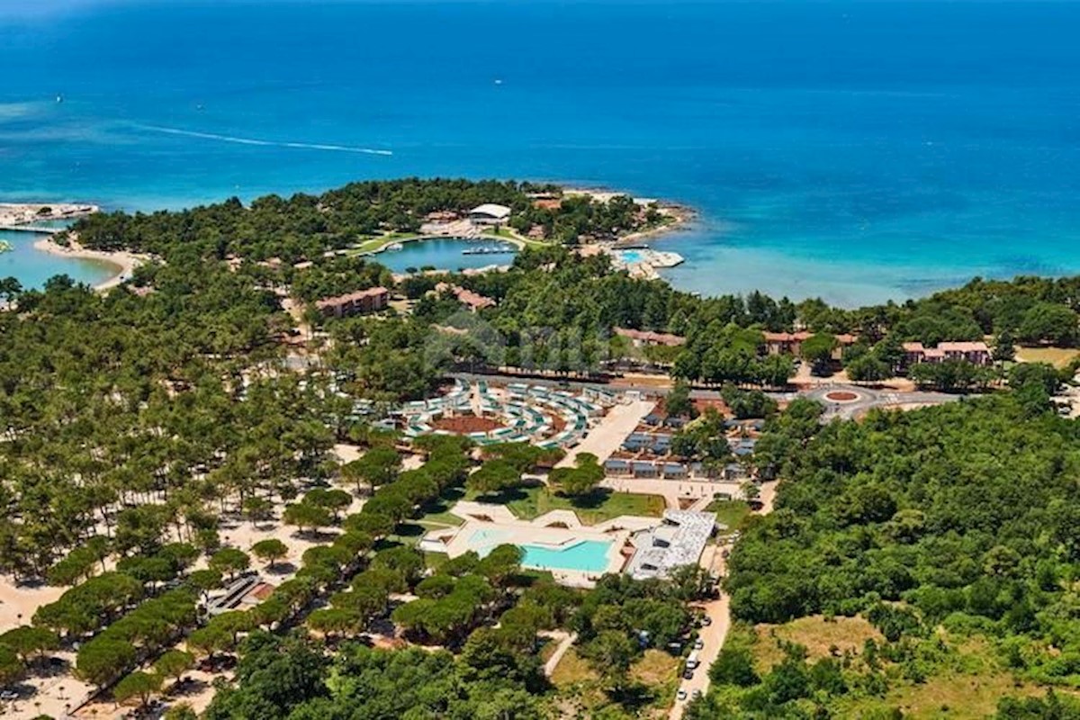 Katoro, Umag, 7.868m2