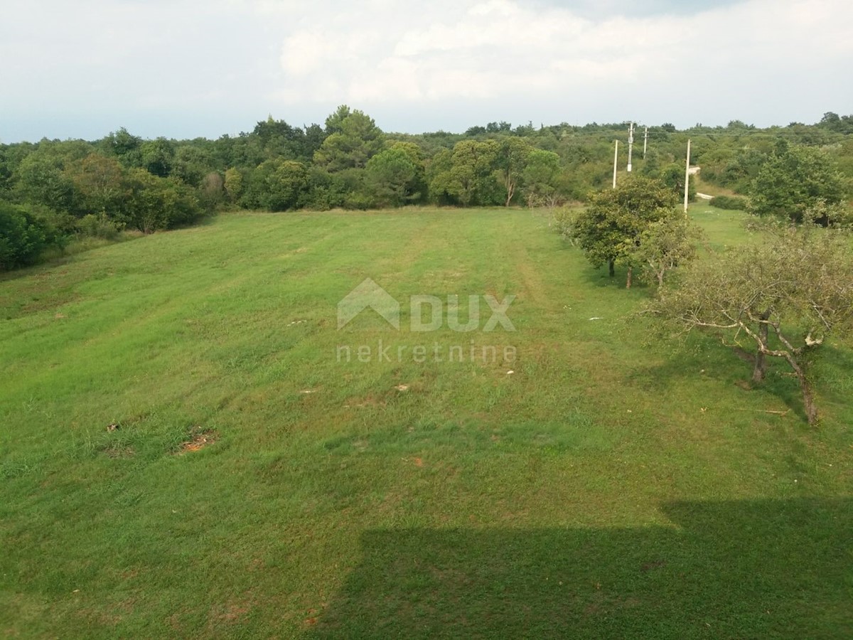 Katoro, Umag, 7.868m2