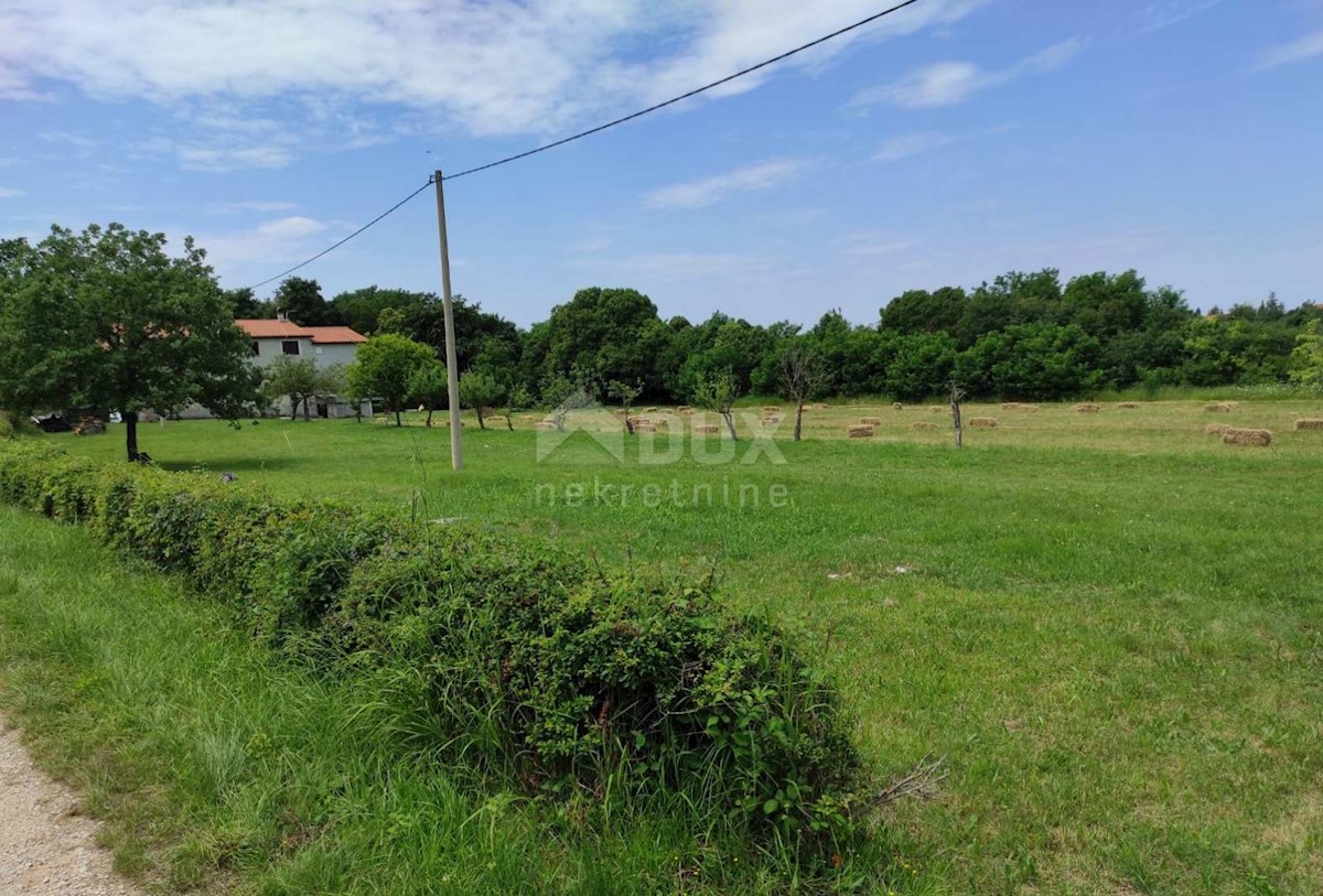 Katoro, Umag, 7.868m2