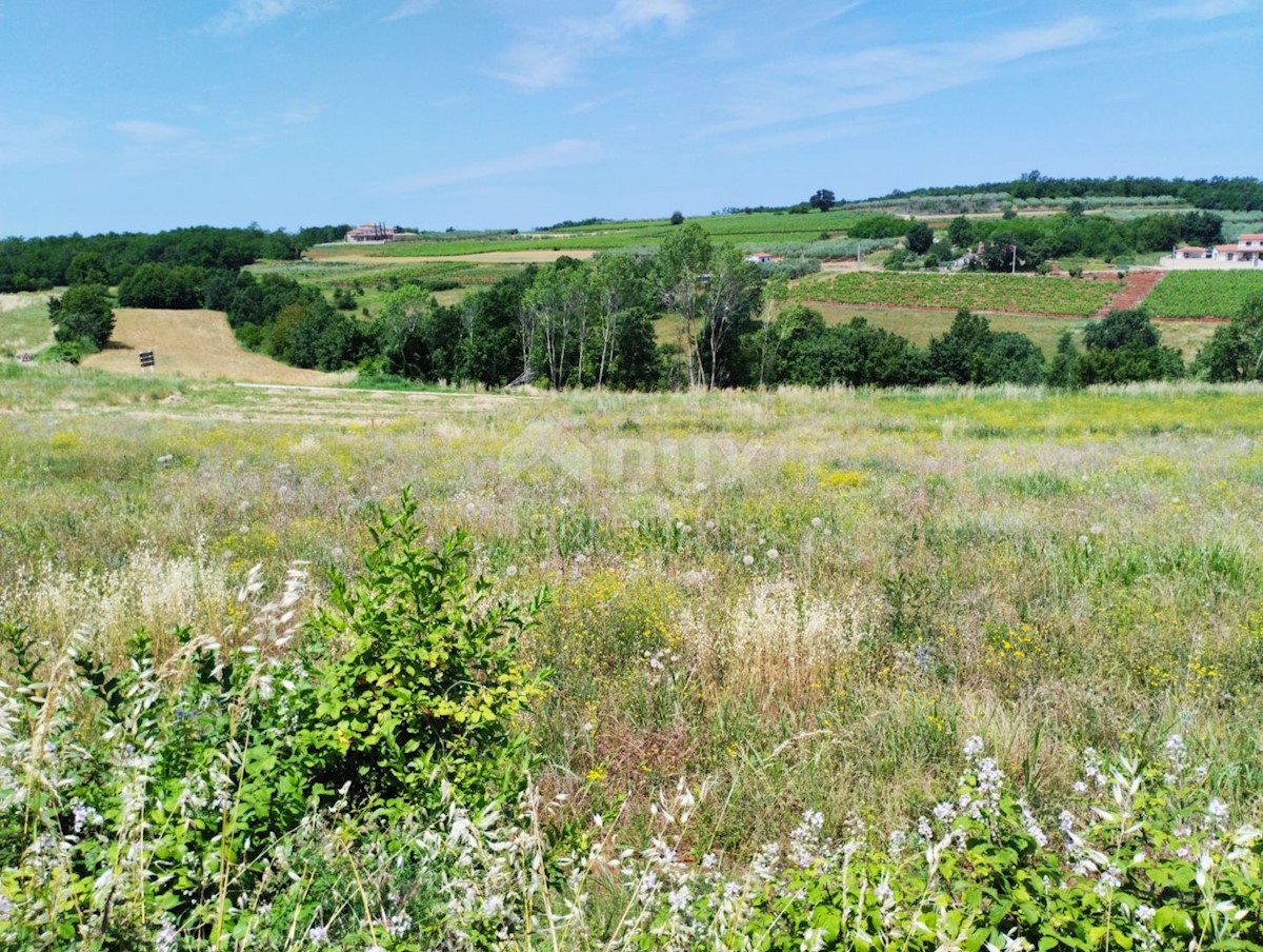 Vižinada, 755m2