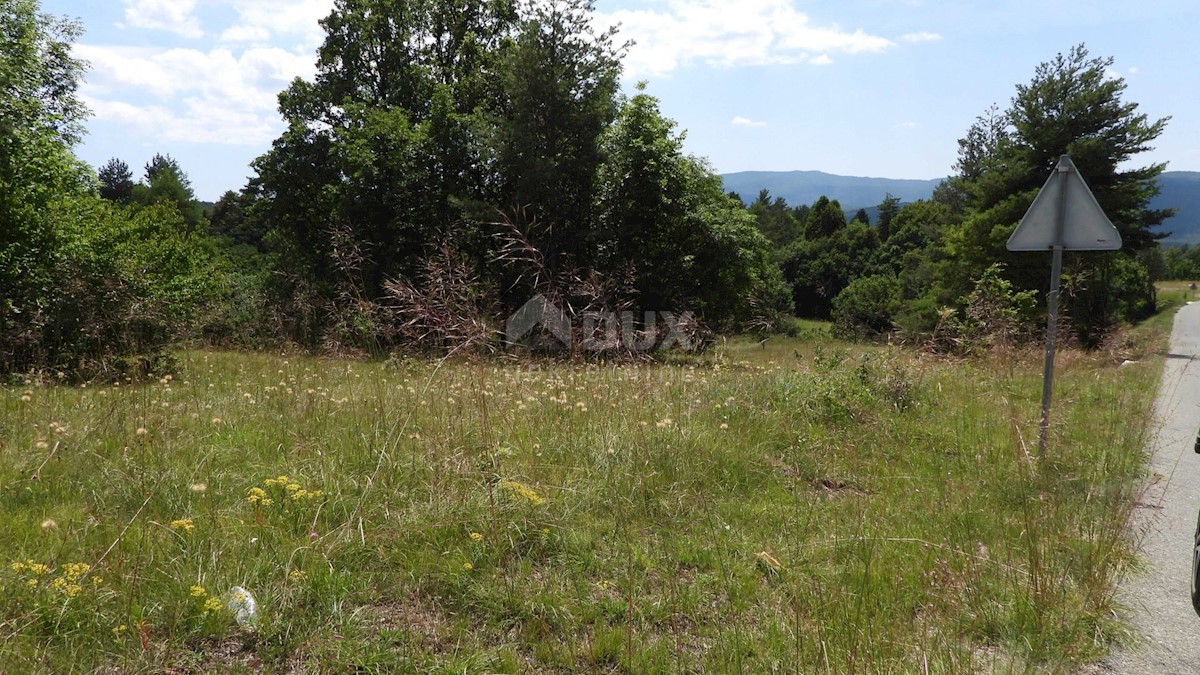 MATULJI, RUPA, LIPA - gradbeno zemljišče 5021m2 za dvorano