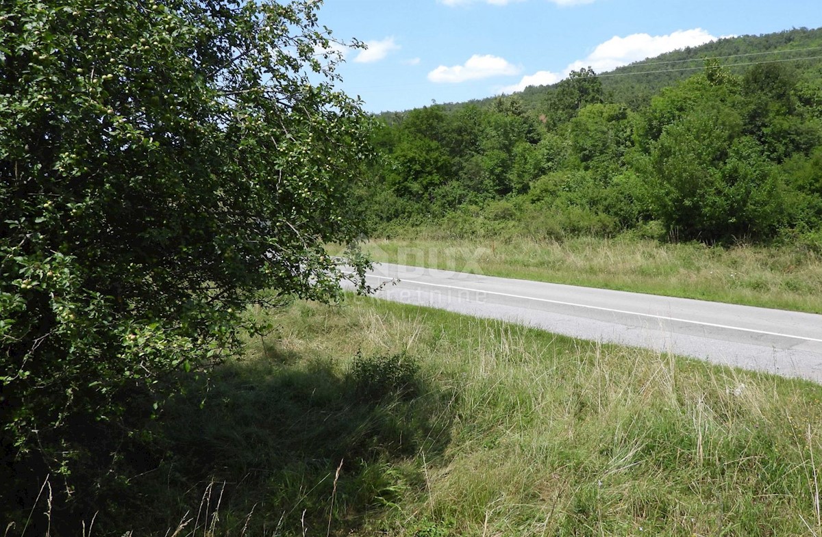 MATULJI, RUPA, LIPA - gradbeno zemljišče 5021m2 za dvorano