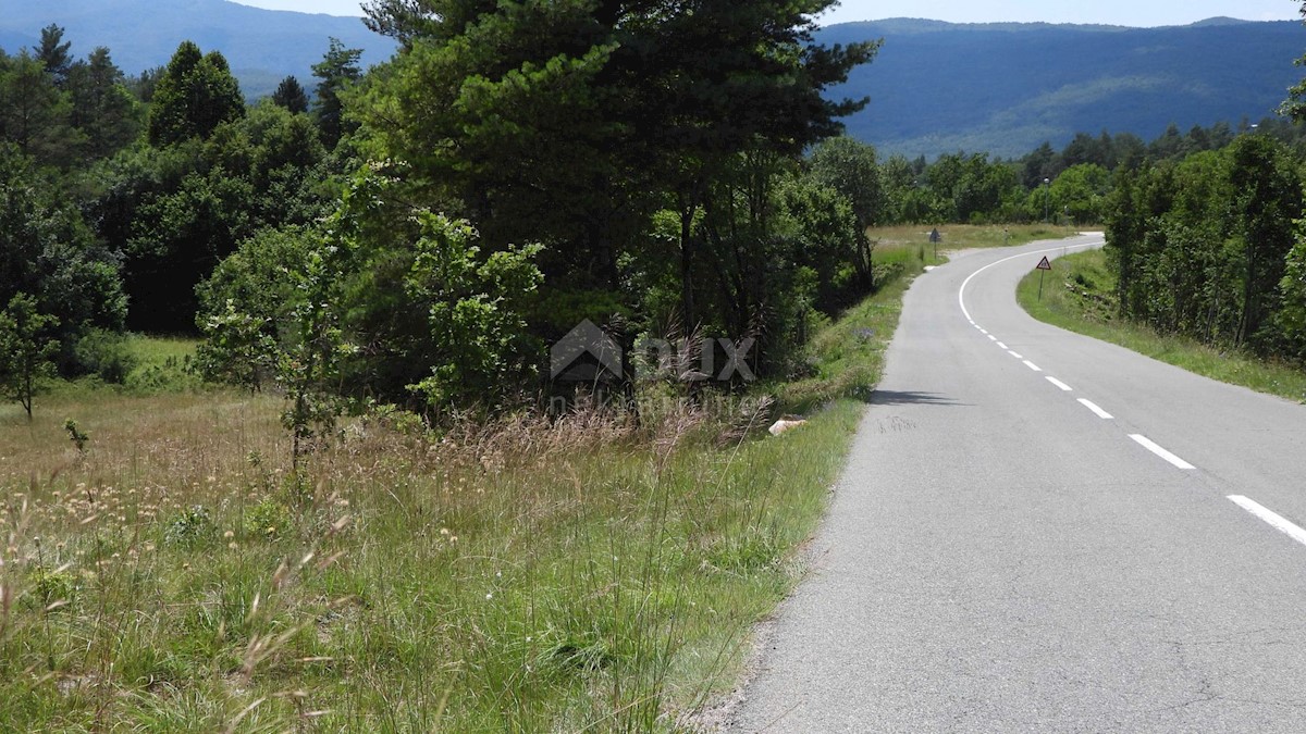 MATULJI, RUPA, LIPA - gradbeno zemljišče 5021m2 za dvorano