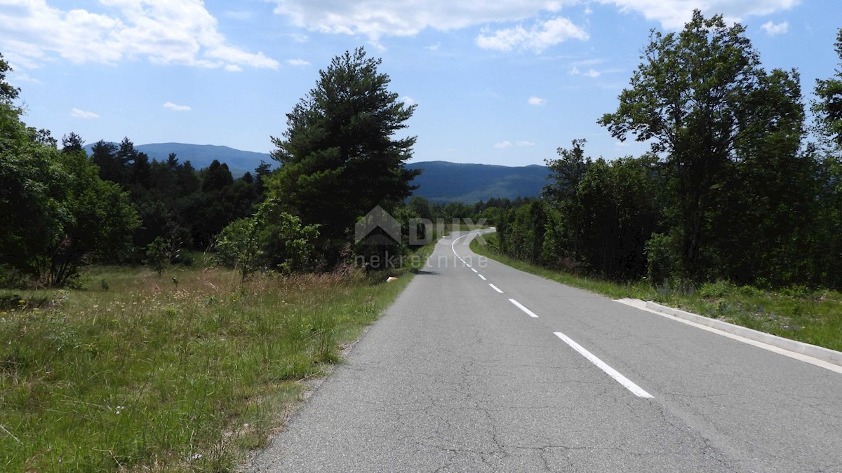 MATULJI, RUPA, LIPA - gradbeno zemljišče 5021m2 za dvorano