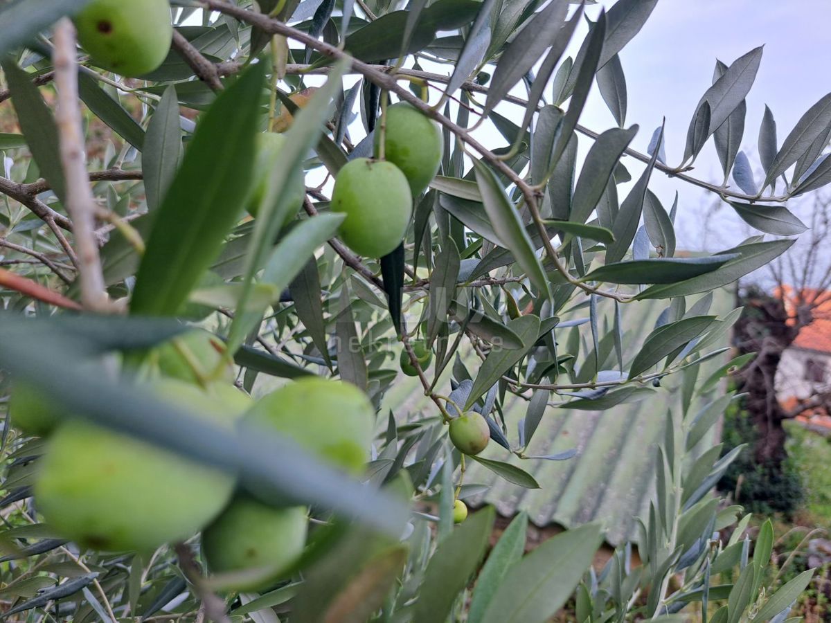 OPATIJA, KRAJ - starina s panoramskim razgledom