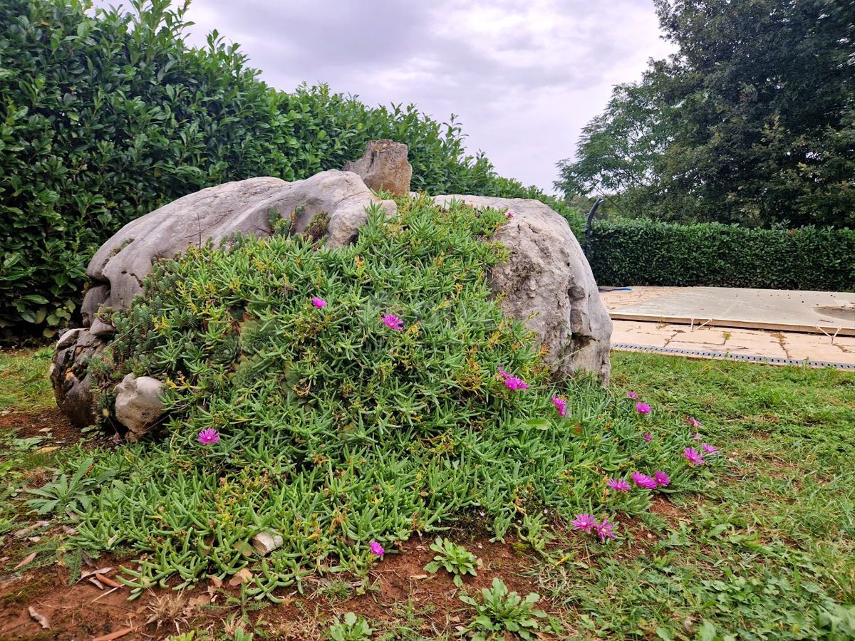 ISTRA, SVETI LOVREČ - Kmečka hiša z bazenom