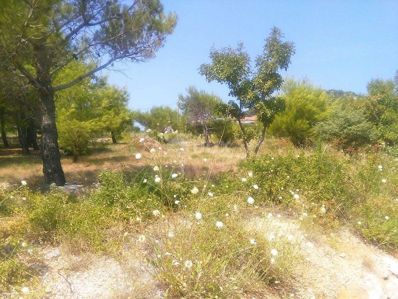 RAB, BARBAT - zazidljivo zemljišče 1426m2 s pogledom na morje za stanovanjsko gradnjo - stanovanja - apartmaji / družinska hiša / hiša za najem - počitnice z bazenom