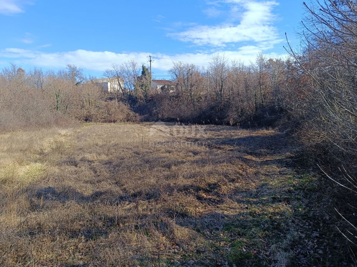 ISTRA, ŠTOKOVCI Zazidljivo zemljišče v Režancih 2081 m2