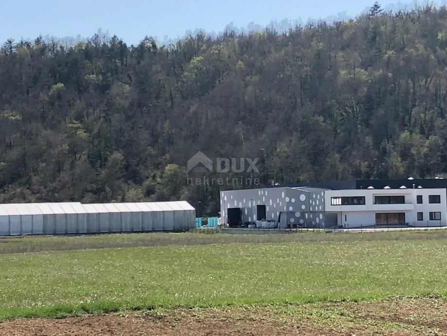 Beram, Pazin - Okolica, 8.000m2