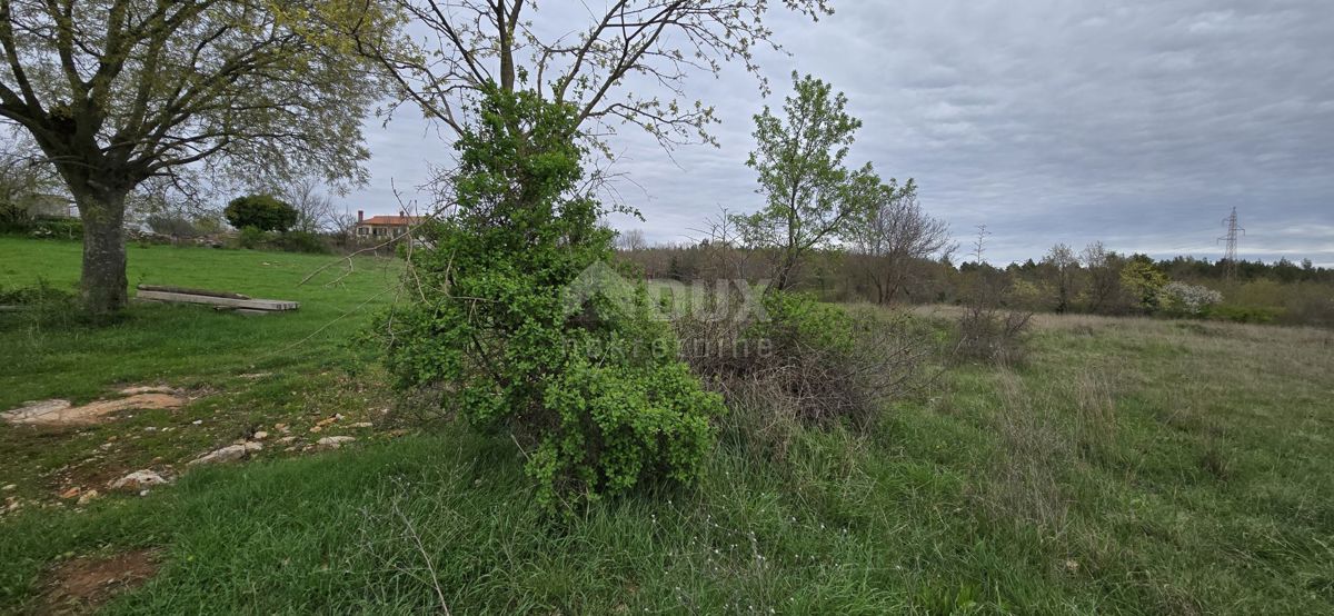 ISTRA, MARČANA - Gradbeno zemljišče z dovoljenjem za gradnjo večnadstropne hiše z bazenom